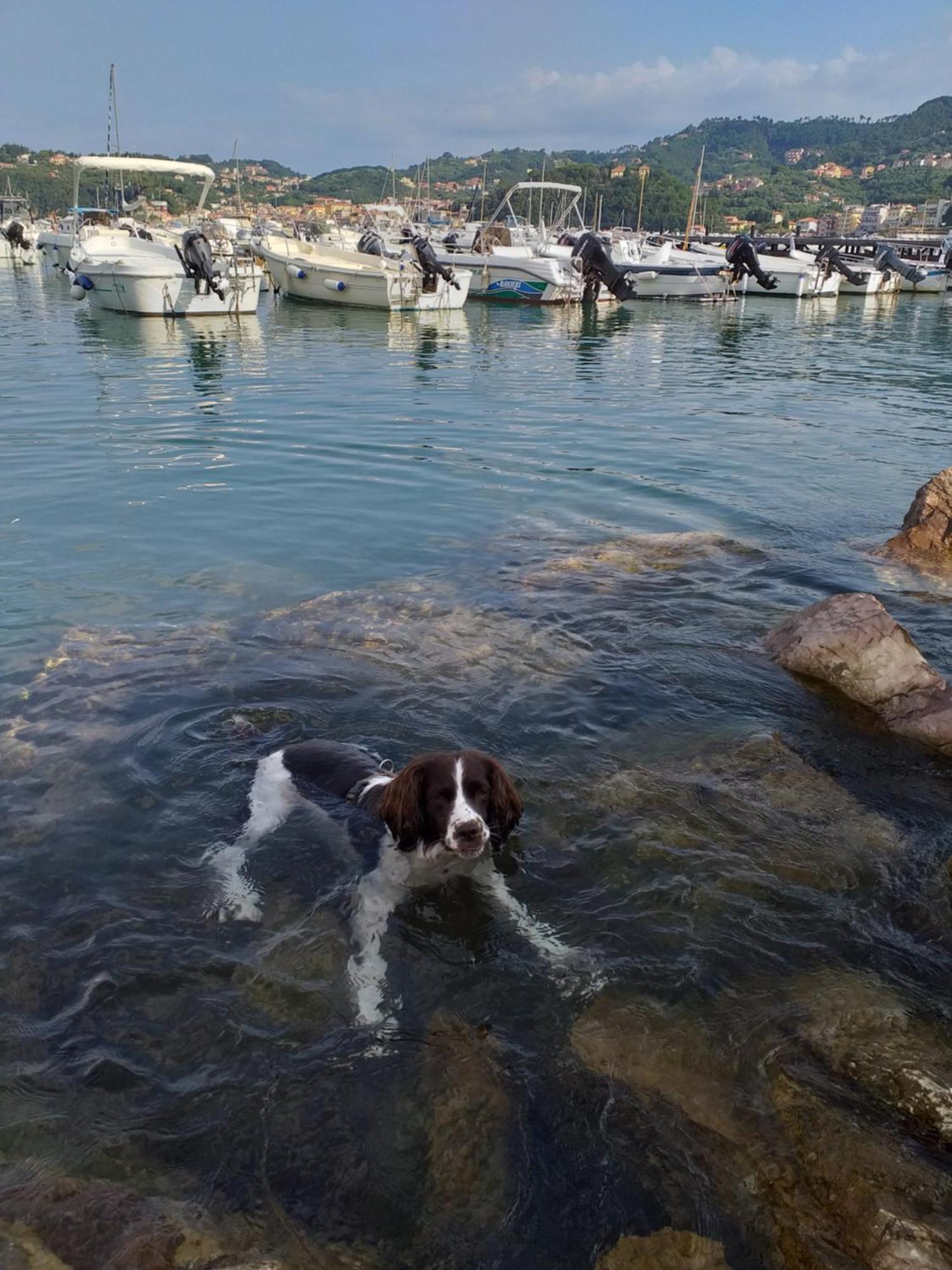 فيلا Casa A Lerici Nell'Antico Borgo المظهر الخارجي الصورة